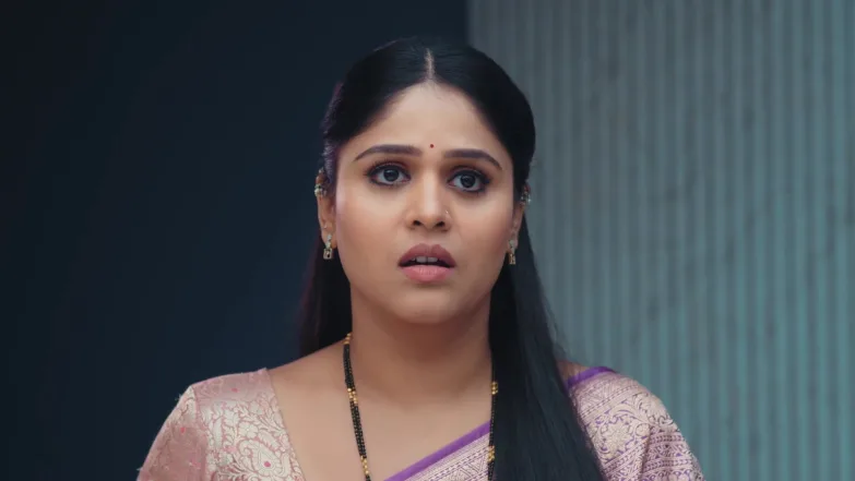 Lakshmi Niwas - December 10, 2025 - Best Scene 