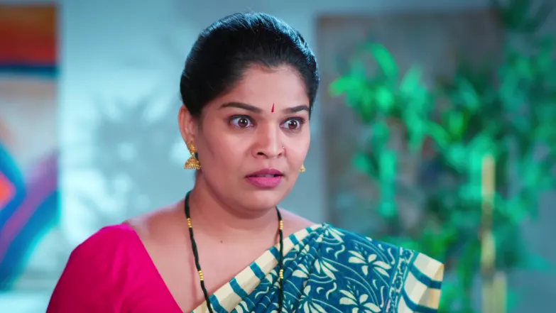 Savalyachi Janu Savali - December 14, 2025 - Episode Spoiler