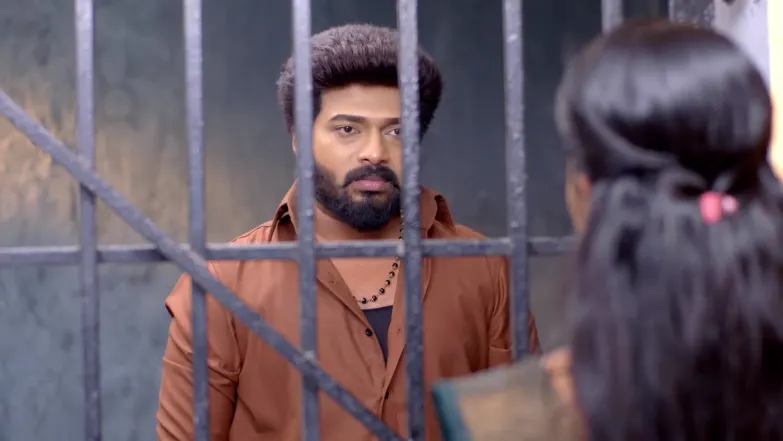 Karthigai Deepam - December 12, 2025 - Best Scene 