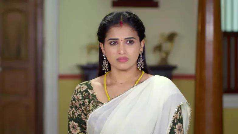 Karthigai Deepam - December 10, 2025 - Best Scene 