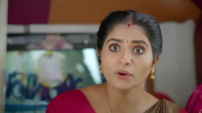 Chinnan Siru Kiliye - December 11, 2025 - Episode Spoiler