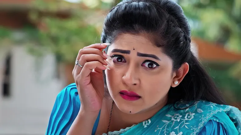 Raja Chinna Roja - December 10, 2025 - Episode Spoiler