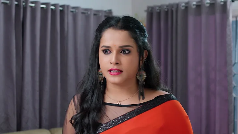 Raja Chinna Roja - December 09, 2025 - Episode Spoiler