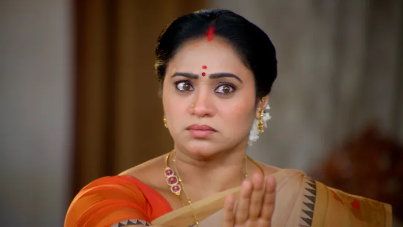 Sandhya Raagam - December 11, 2025 - Episode Spoiler