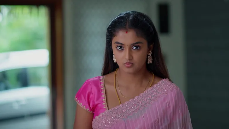 Meghasandesam - December 13, 2025 - Webisode 13th December 2025 Webisode