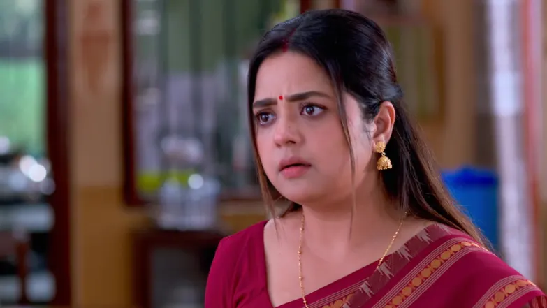 Sriman Bhogoban Das - December 09, 2025 - Episode Spoiler