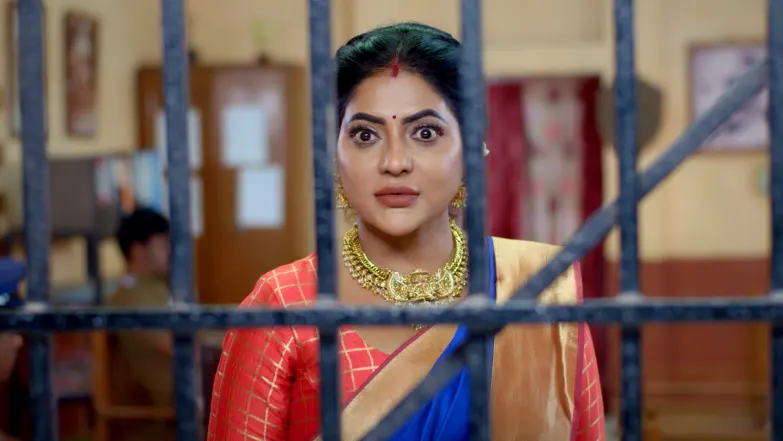 Karthigai Deepam - December 11, 2025 - Episode Spoiler