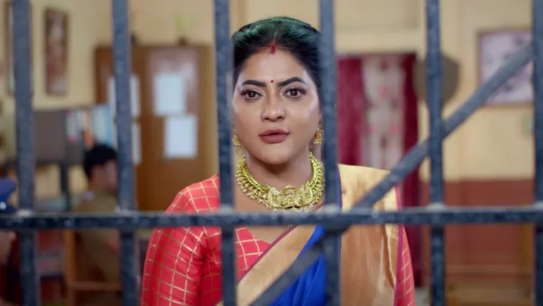 Karthigai Deepam - December 11, 2025 - Episode Spoiler