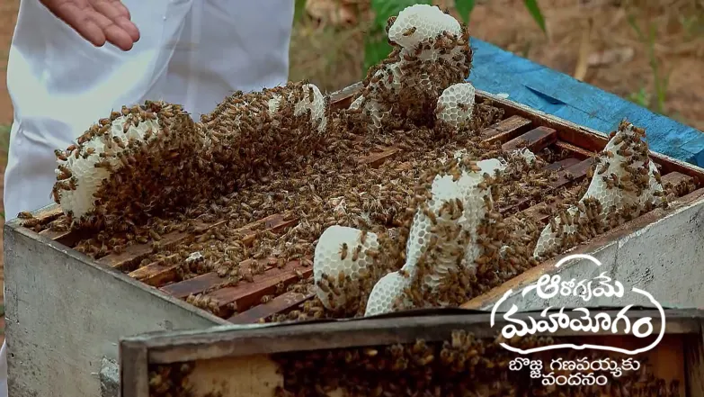 Aarogyame Mahayogam - December 15, 2025 Episode 1562