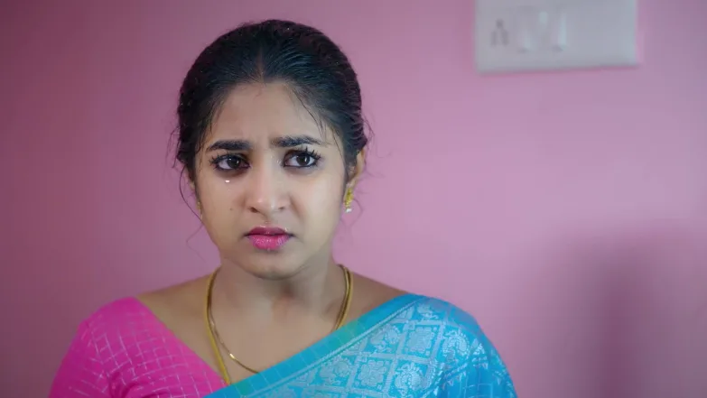 Chinnan Siru Kiliye - December 17, 2025 - Best Scene 