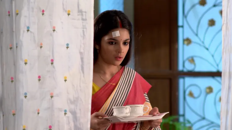 Kone Dekhaa Alo - December 17, 2025 - Episode Spoiler