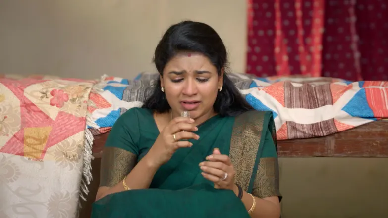 Karthigai Deepam - December 16, 2025 - Episode Spoiler