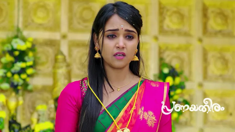 Govind Shocks Everyone by Marries Geetha Episode 117