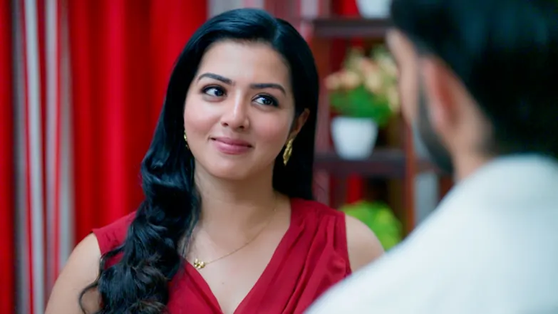 KrishnaGadha - December 28, 2025 - Episode Spoiler