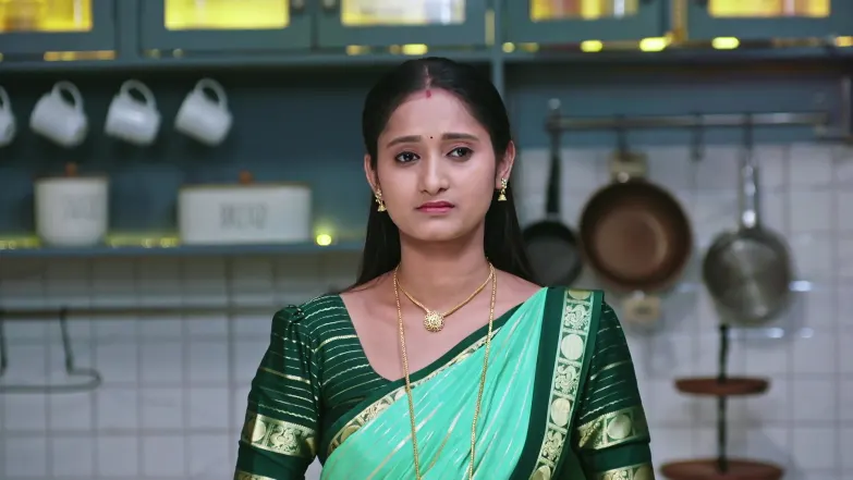  Naa Ninna Bidalaare - December 25, 2025 Episode 239