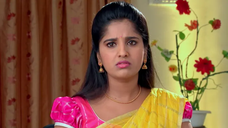 Priya's Words Make Shrinidhi Worry about Adithya Episode 166