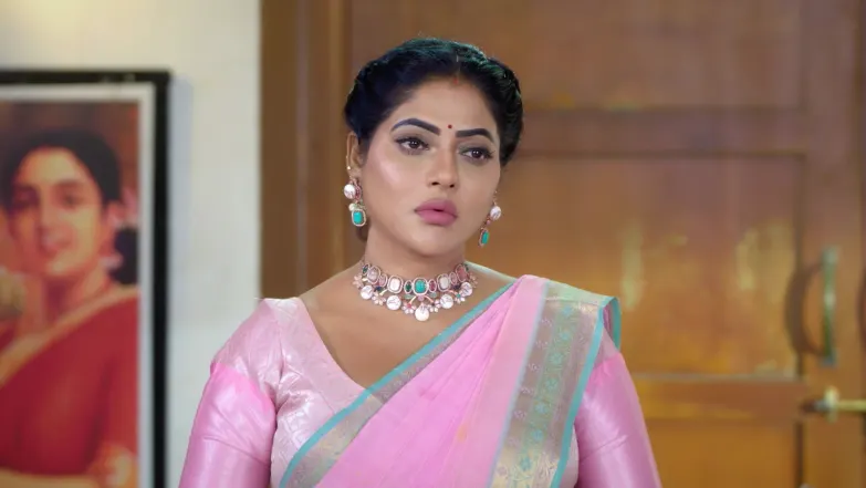 Karthigai Deepam - December 23, 2025 - Episode Spoiler