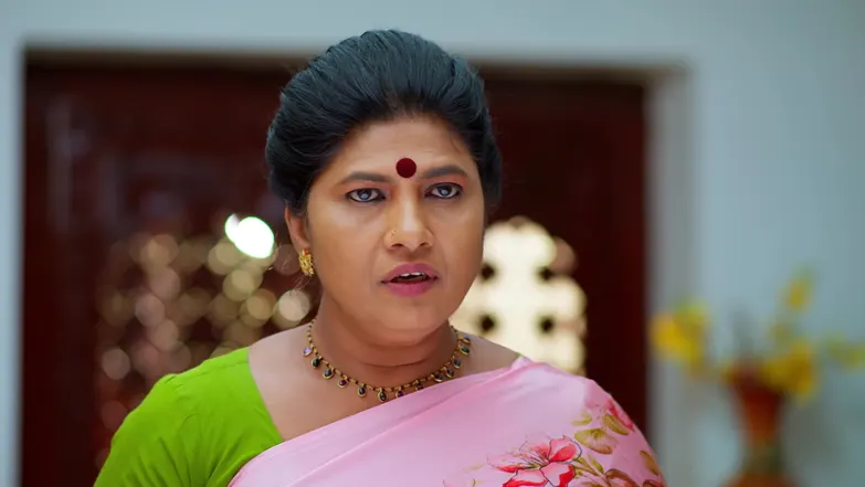 Nindu Noorella Saavasam - January 05, 2026 - Episode Spoiler