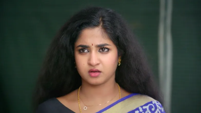 Chinnan Siru Kiliye - December 30, 2025 - Best Scene 