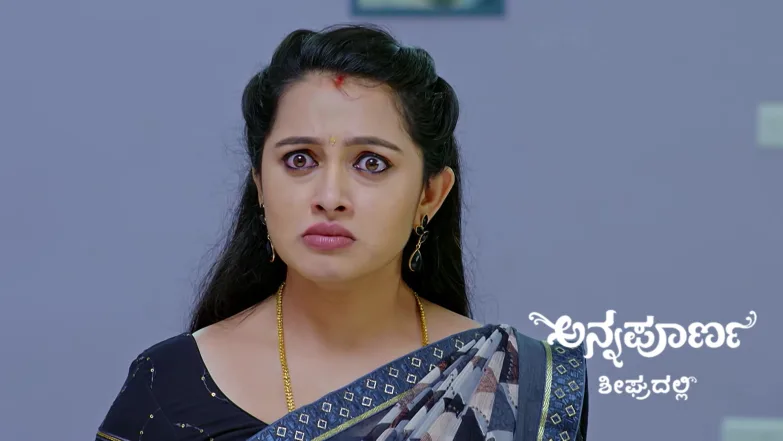 Annapoorna - December 29, 2025 Episode 1044