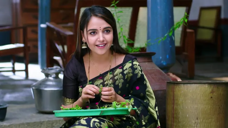 Annayya - January 02, 2026 - Best Scene 