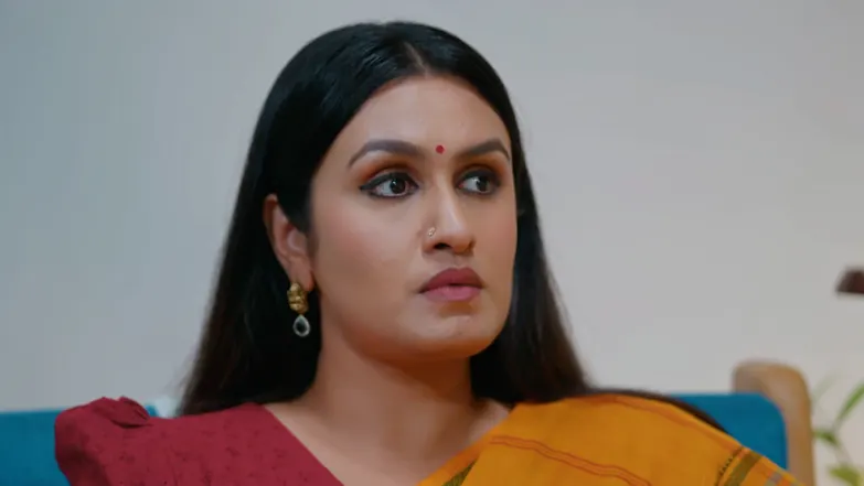 KrishnaGadha - January 03, 2026 - Episode Spoiler