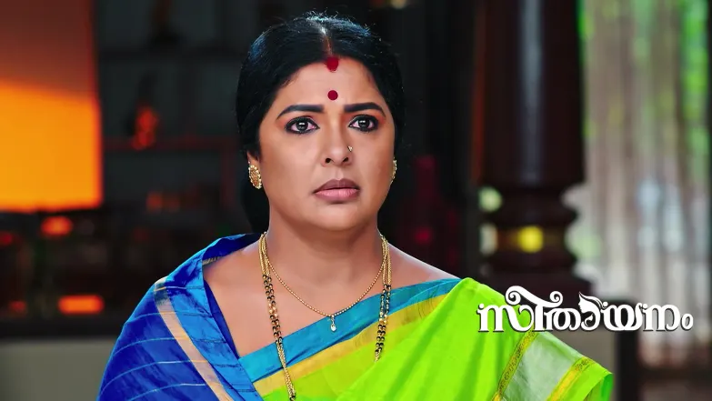 Aadhya Confesses Her Love to Sreeni Episode 157