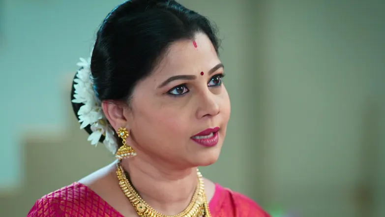 Savalyachi Janu Savali - January 09, 2026 - Episode Spoiler