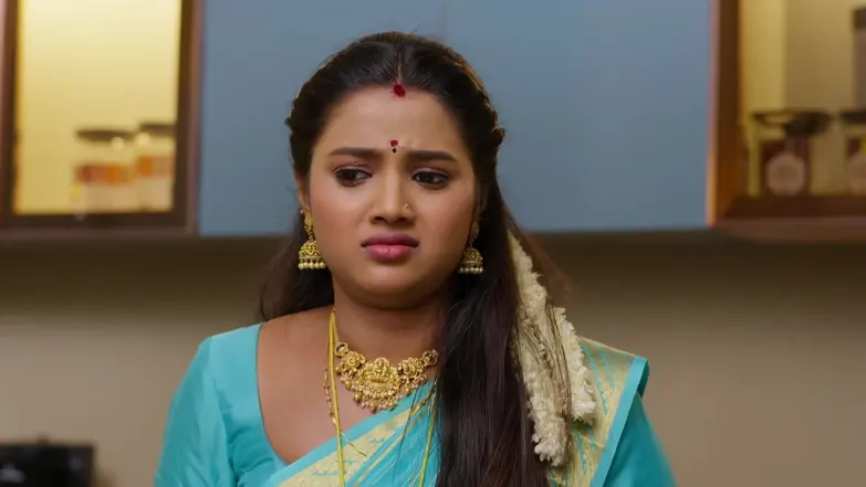 Jayam - January 17, 2026 - Webisode 17th January 2026 Webisode