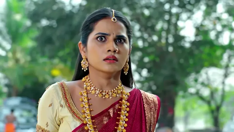 Mukkupudaka - January 17, 2026 - Best Scene 