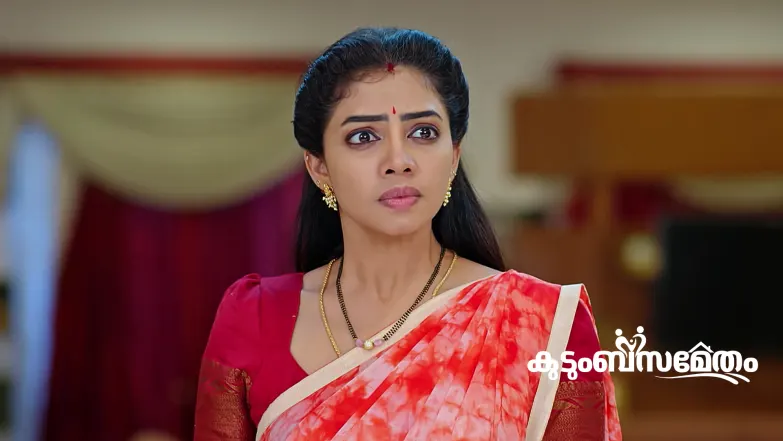 Ananda Bhairavi's Revelation Stuns Ananya Episode 147