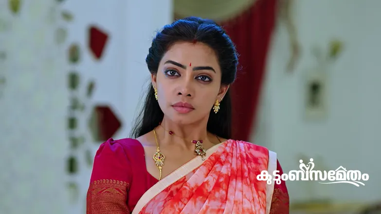 Ananda Bhairavi Stuns Ananya Episode 148