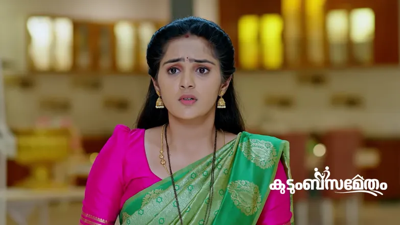 Ananya Stages an Act in front of Vishwanath Episode 149