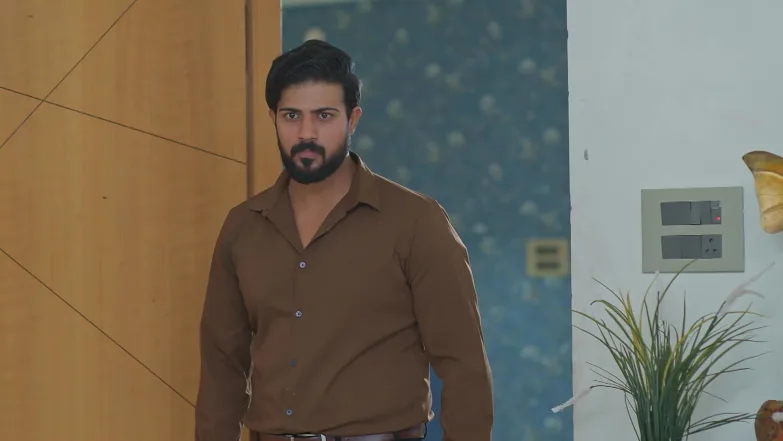 Meghasandesha - January 19, 2026 - Episode Spoiler