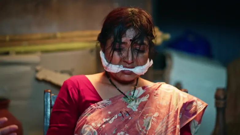 Lakshmi Niwas - January 16, 2026 - Best Scene 