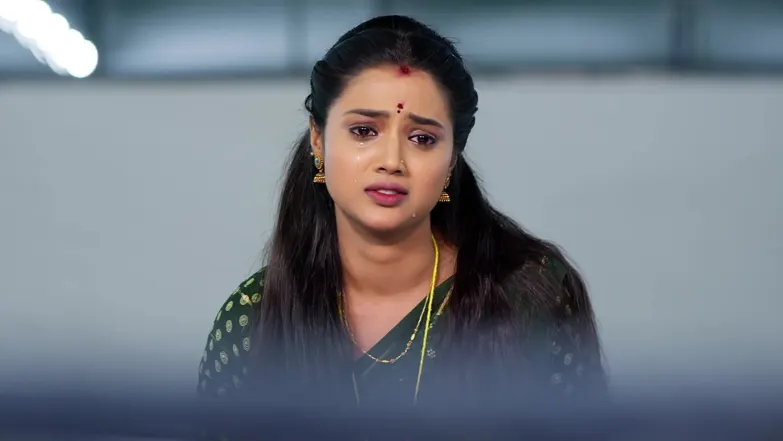 The Swami Predicts Danger for Rudra Episode 175