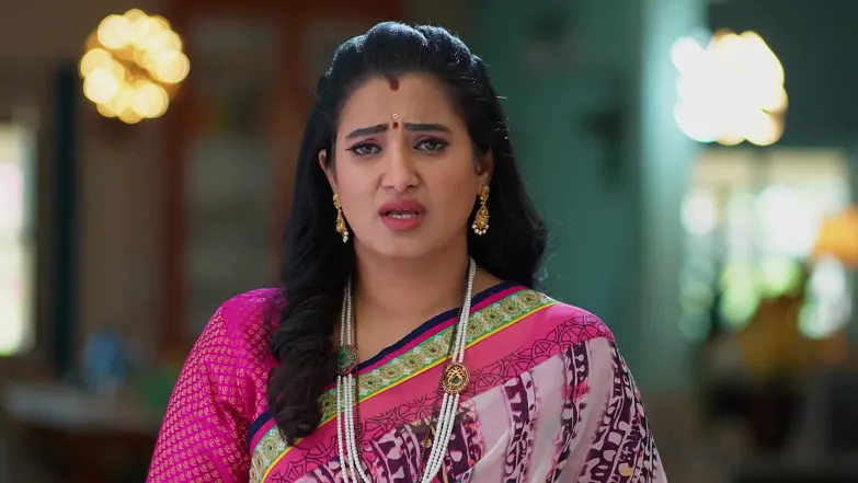 Meghasandesam - January 19, 2026 - Best Scene 