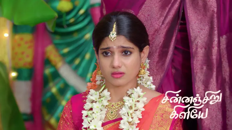 Chinnan Siru Kiliye - January 25, 2026 Episode 134