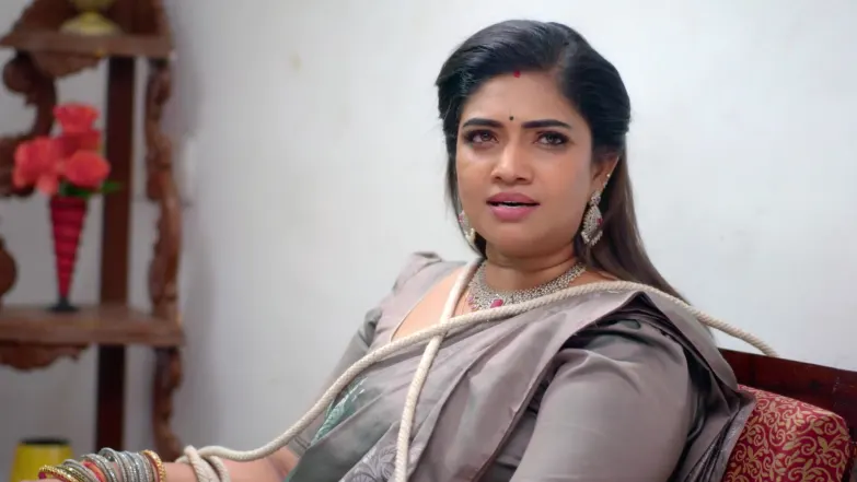 Karthigai Deepam - January 22, 2026 - Best Scene 