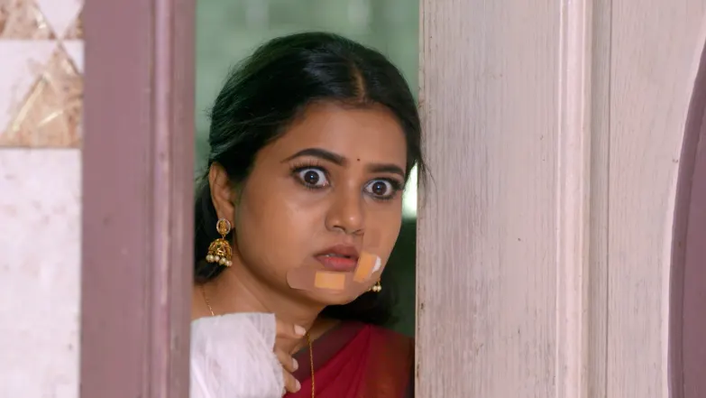 Chinnan Siru Kiliye - January 22, 2026 - Episode Spoiler