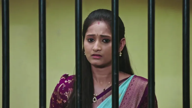  Naa Ninna Bidalaare - January 23, 2026 - Best Scene 