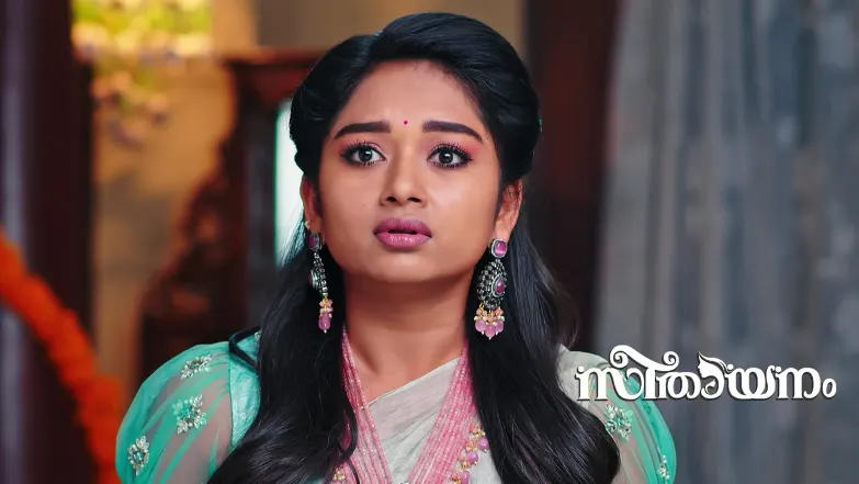 Sreeni's Plan to Reveal His Love to the Family Episode 166