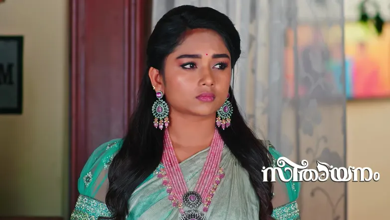 Raghuram Halts Rajalakshmi's Outing Episode 167