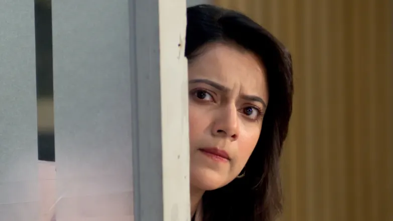 Parineeta - January 25, 2026 - Episode Spoiler