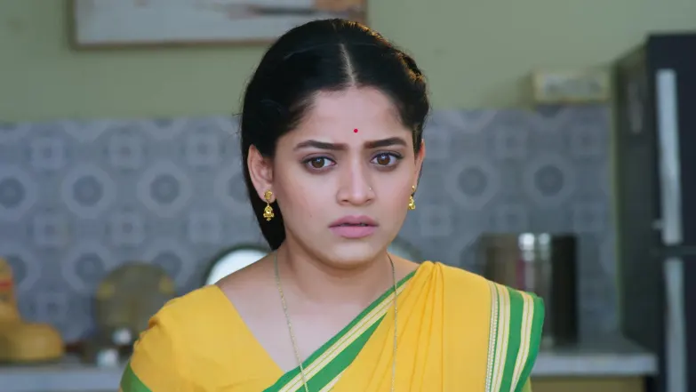 Paaru - February 03, 2026 - Episode Spoiler