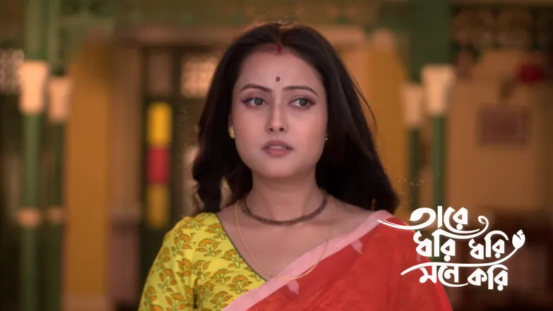 Taare Dhori Dhori Mone Kori - January 31, 2026 Episode 48