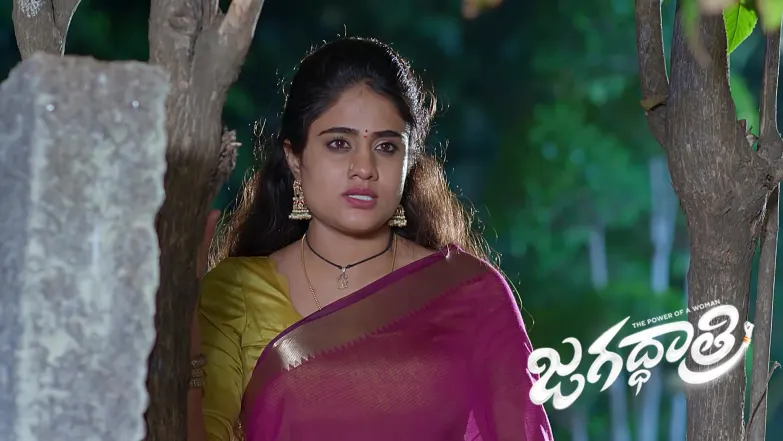 Meenan Attempts to Kill Kamalakar Episode 721