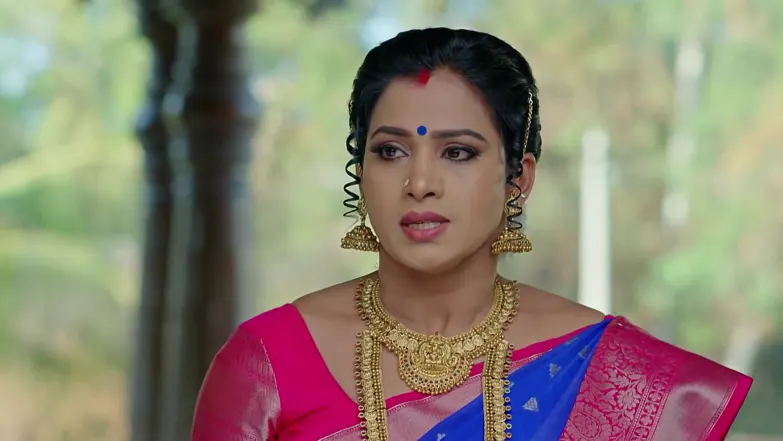 Gharana Mogudu - January 26, 2026 - Best Scene 