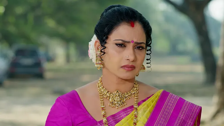 Gharana Mogudu - February 02, 2026 - Episode Spoiler