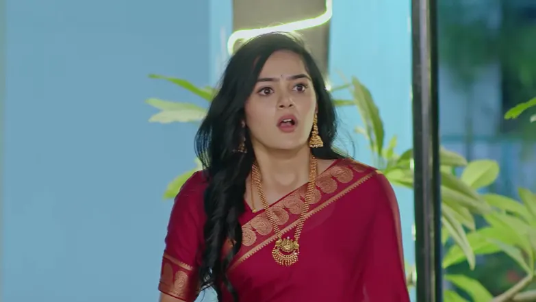 Ummadi Kutumbam - February 02, 2026 - Episode Spoiler